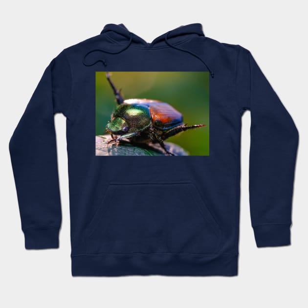 Beetle Yoga. Japanese Scarab Beetle Macro Photograph Hoodie by love-fi